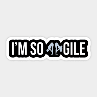 Developer I'm So Agile Sticker